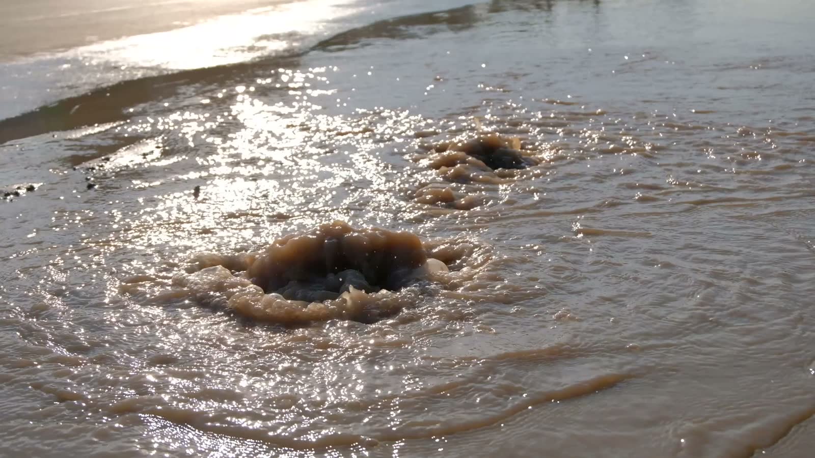 murky-water-coming-out-from-underground-ruptured-p.mp4