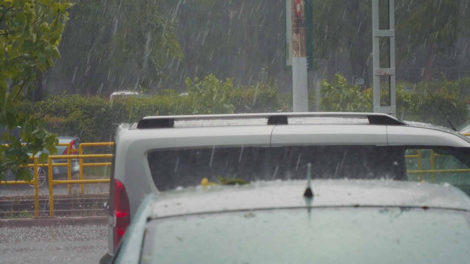 rain-city.mp4