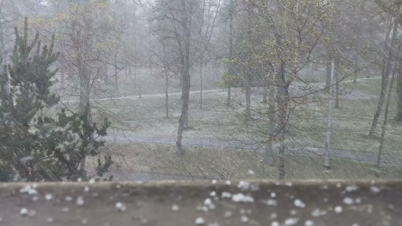 strong-snow-storm-in-the-city-park-bus-and-car-dr.mp4