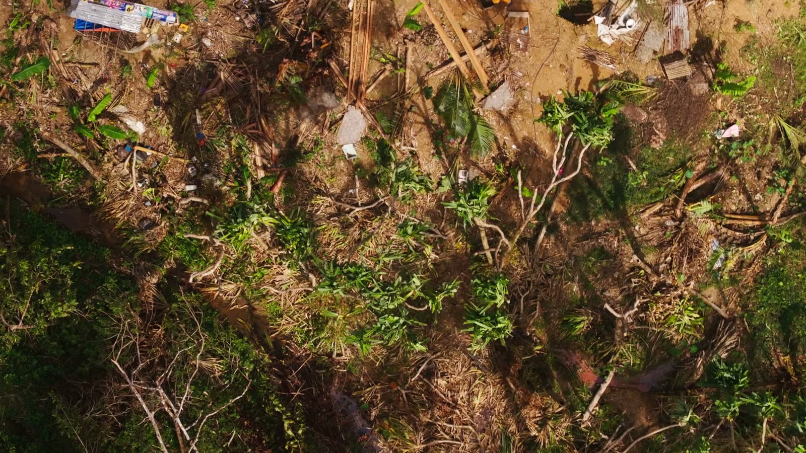 top-down-view-of-local-village-damage-after-typhoo.mp4