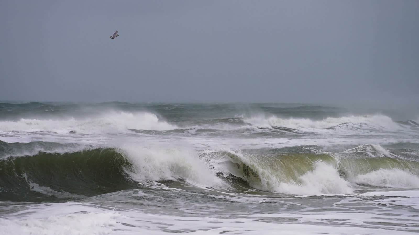 waves-epic.mp4