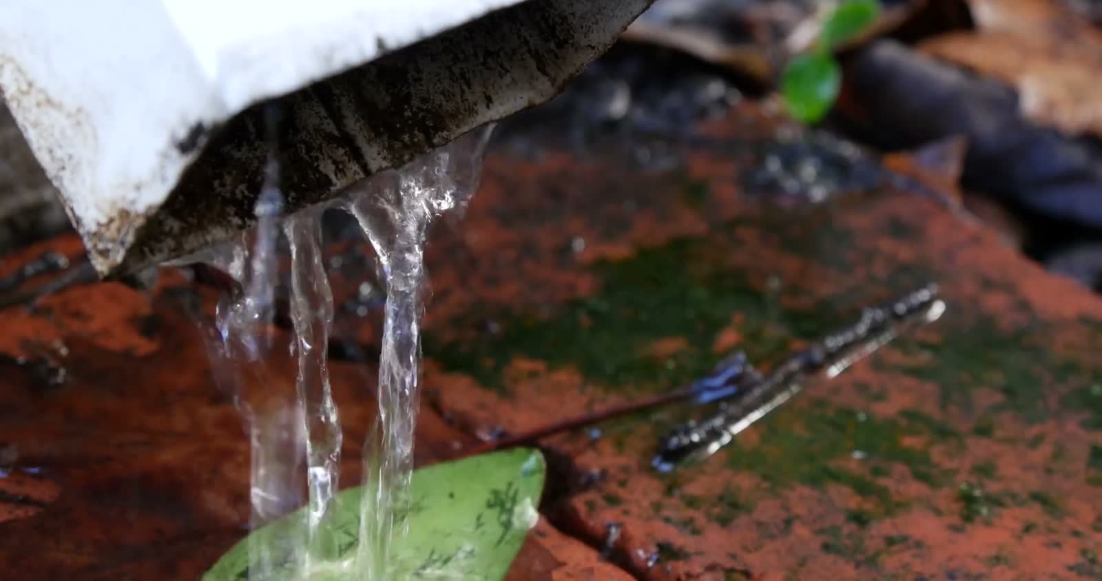 drainpipe-drip.mp4