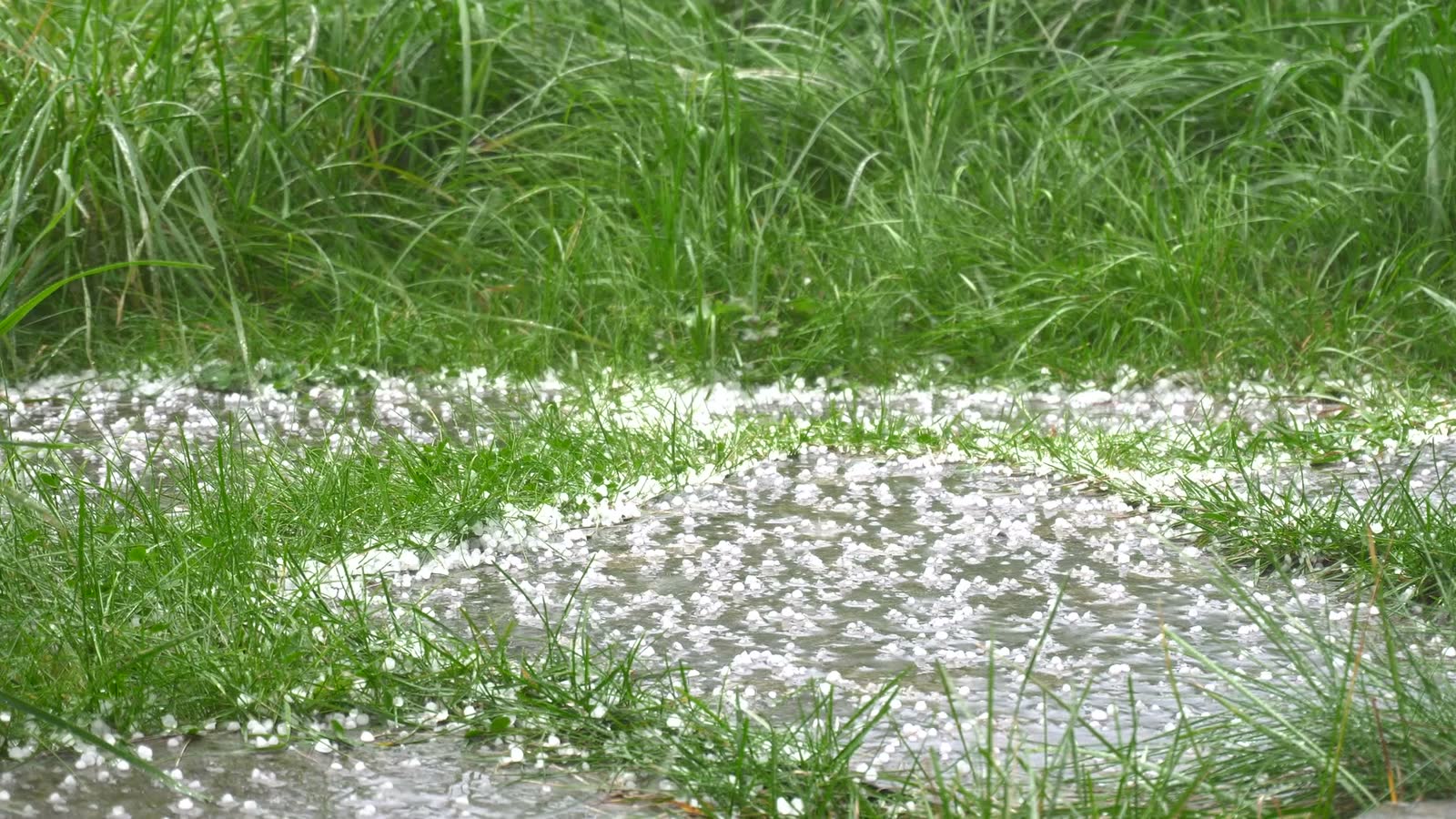 hail-falling-down-the-sky-in-the-bright-day-with-g.mp4