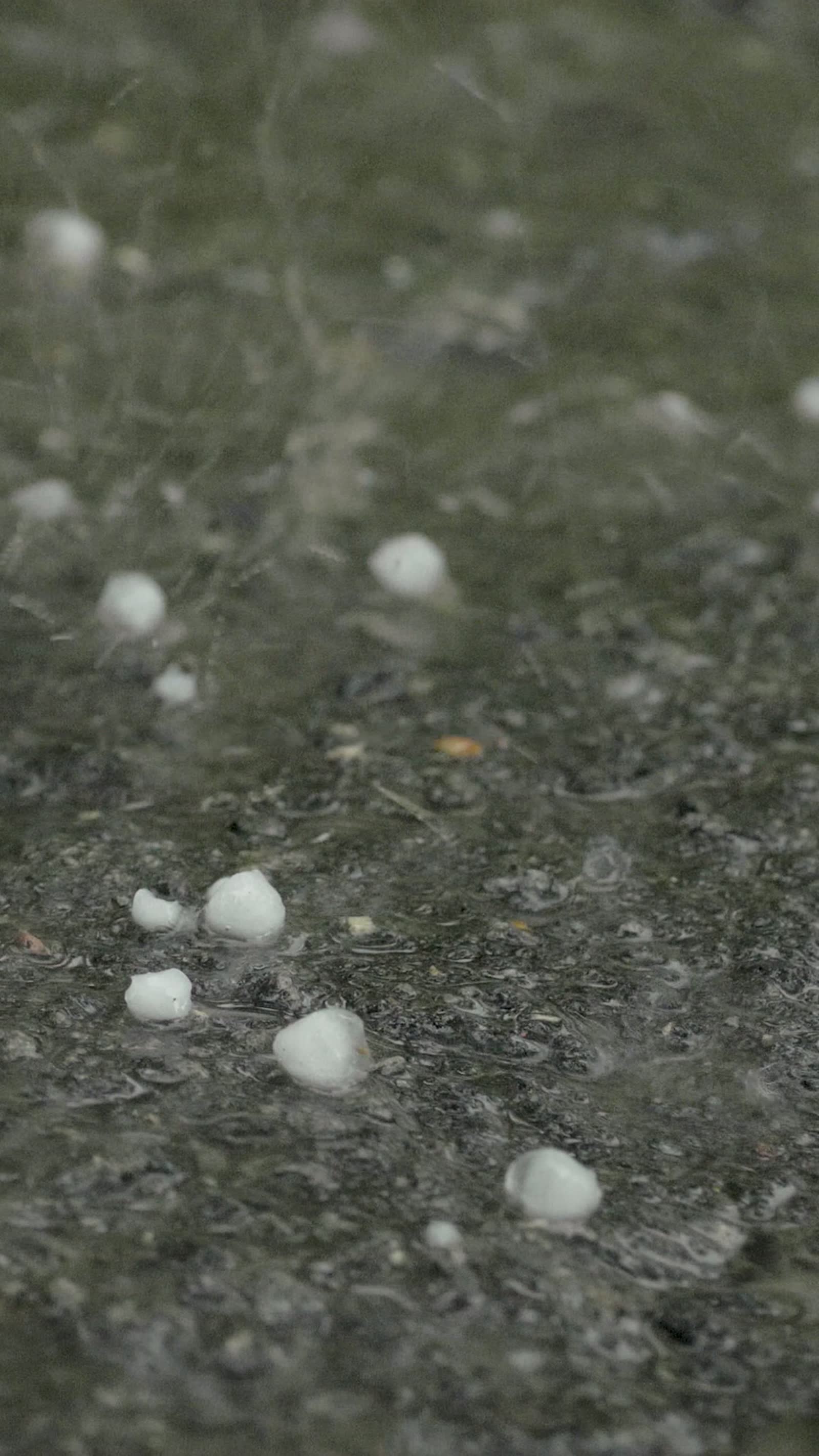hail-pelting-the-ground-in-a-weather-storm.mp4
