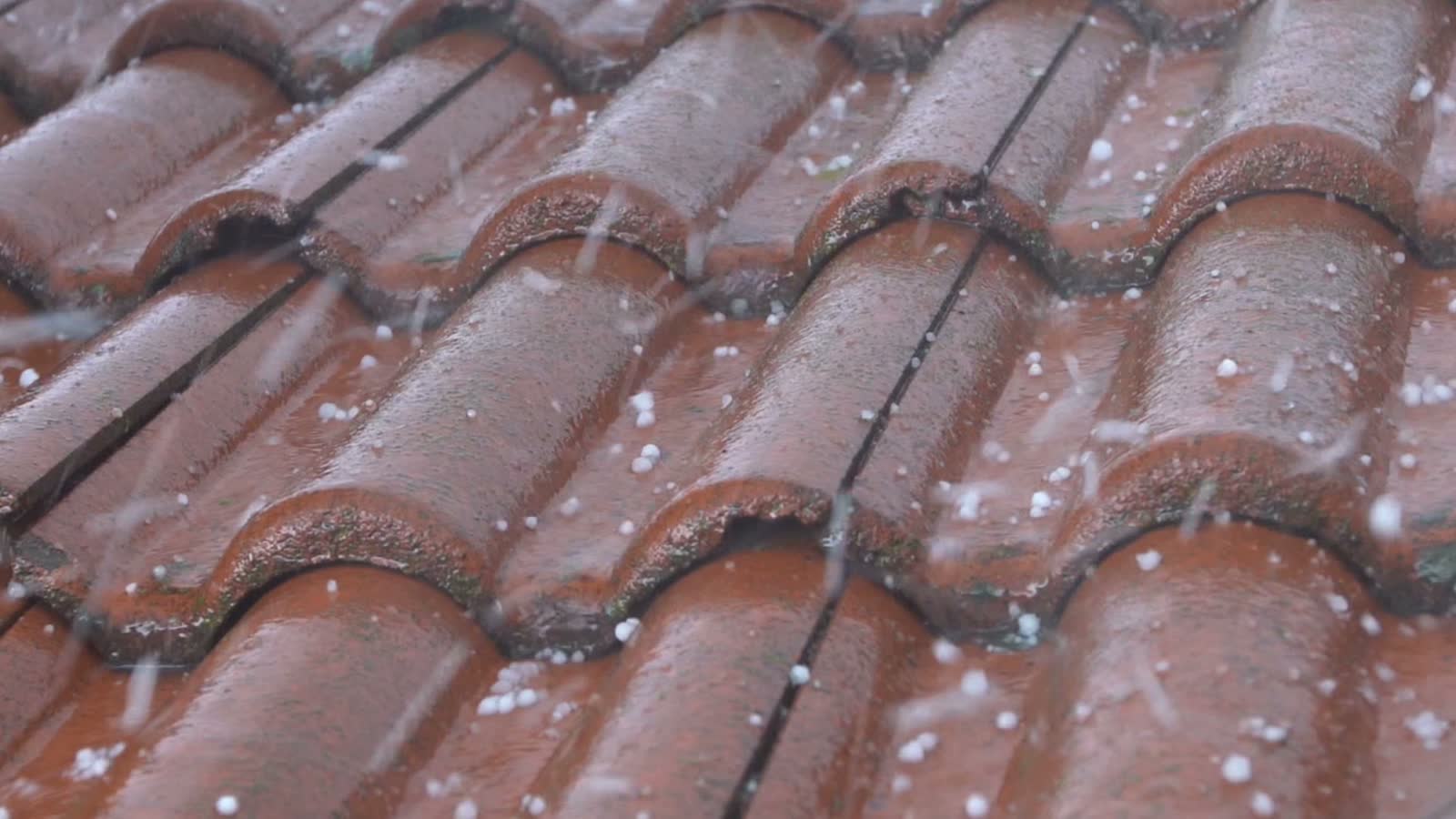 Hail damage in Clearwater?