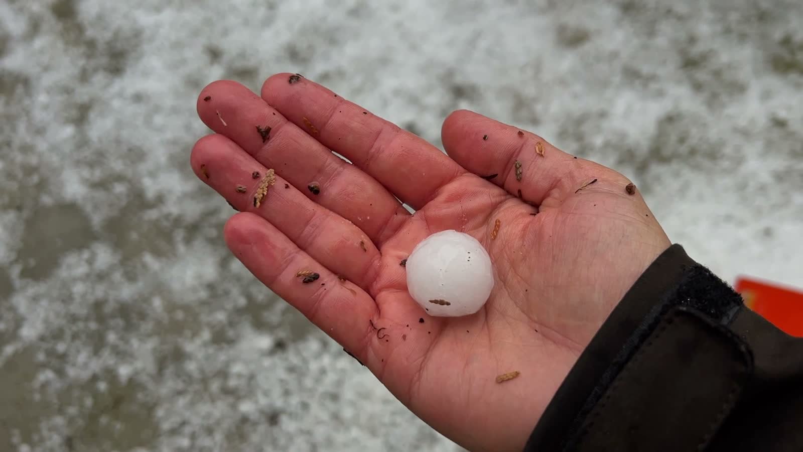 hand-holding-a-hailstone-after-heavy-hailstorm-in.mp4