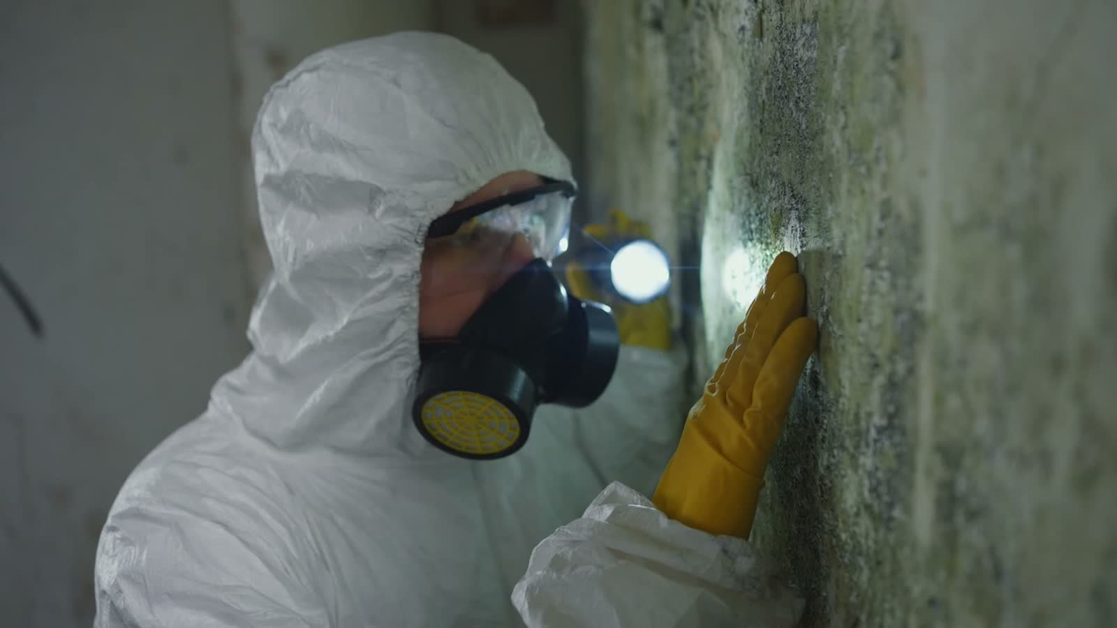 inspector-in-hazmat-suit-examining-moldy-wall.mp4