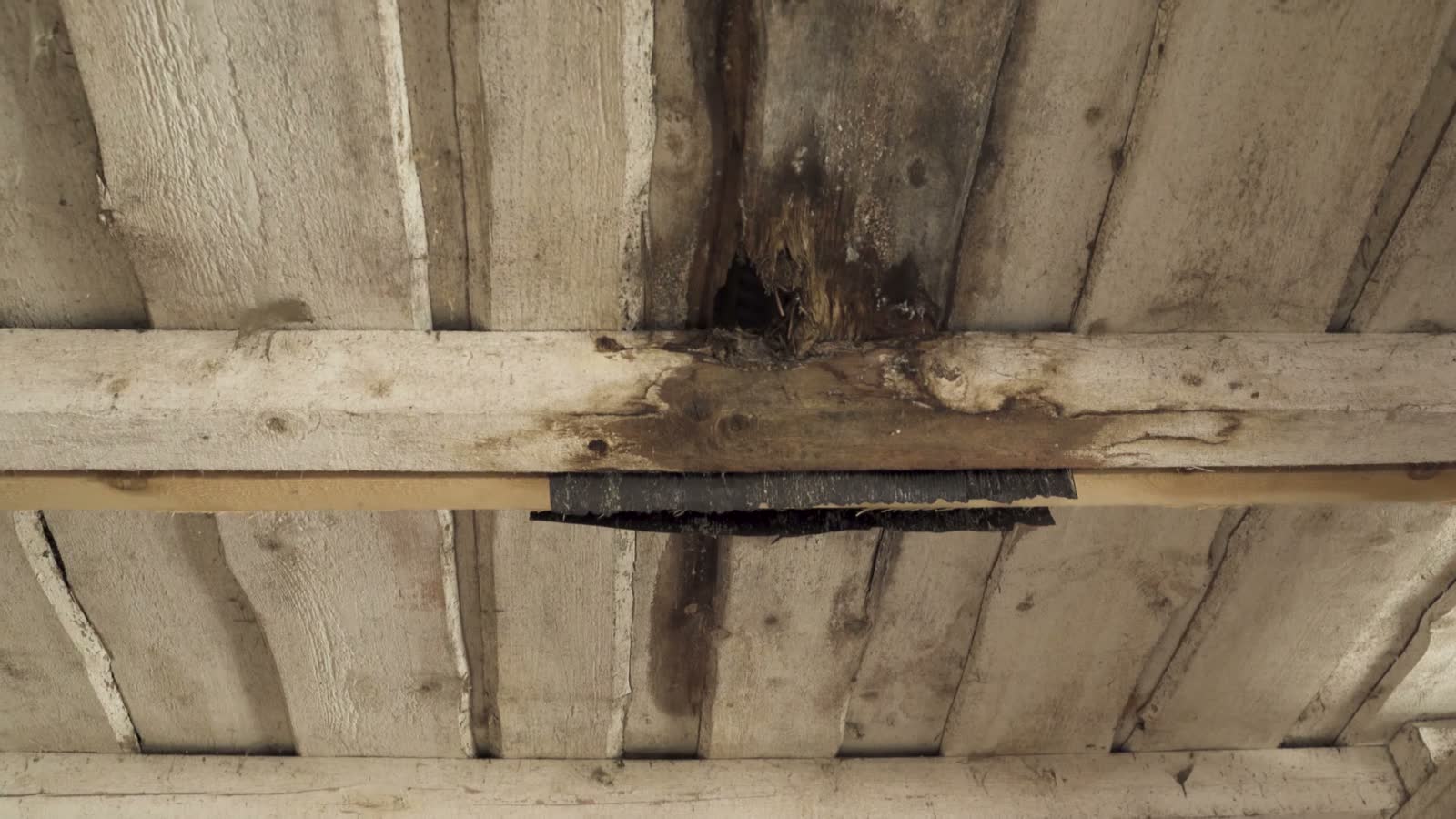 leaking-wooden-ceiling-with-huge-hole-and-rotten-p.mp4