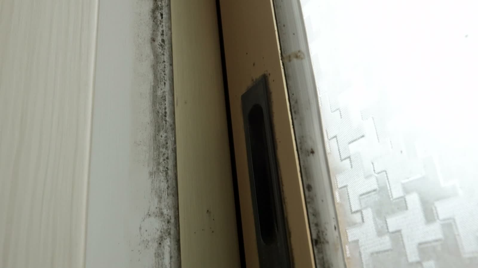 mold-and-mildew-on-wall-and-window.mp4
