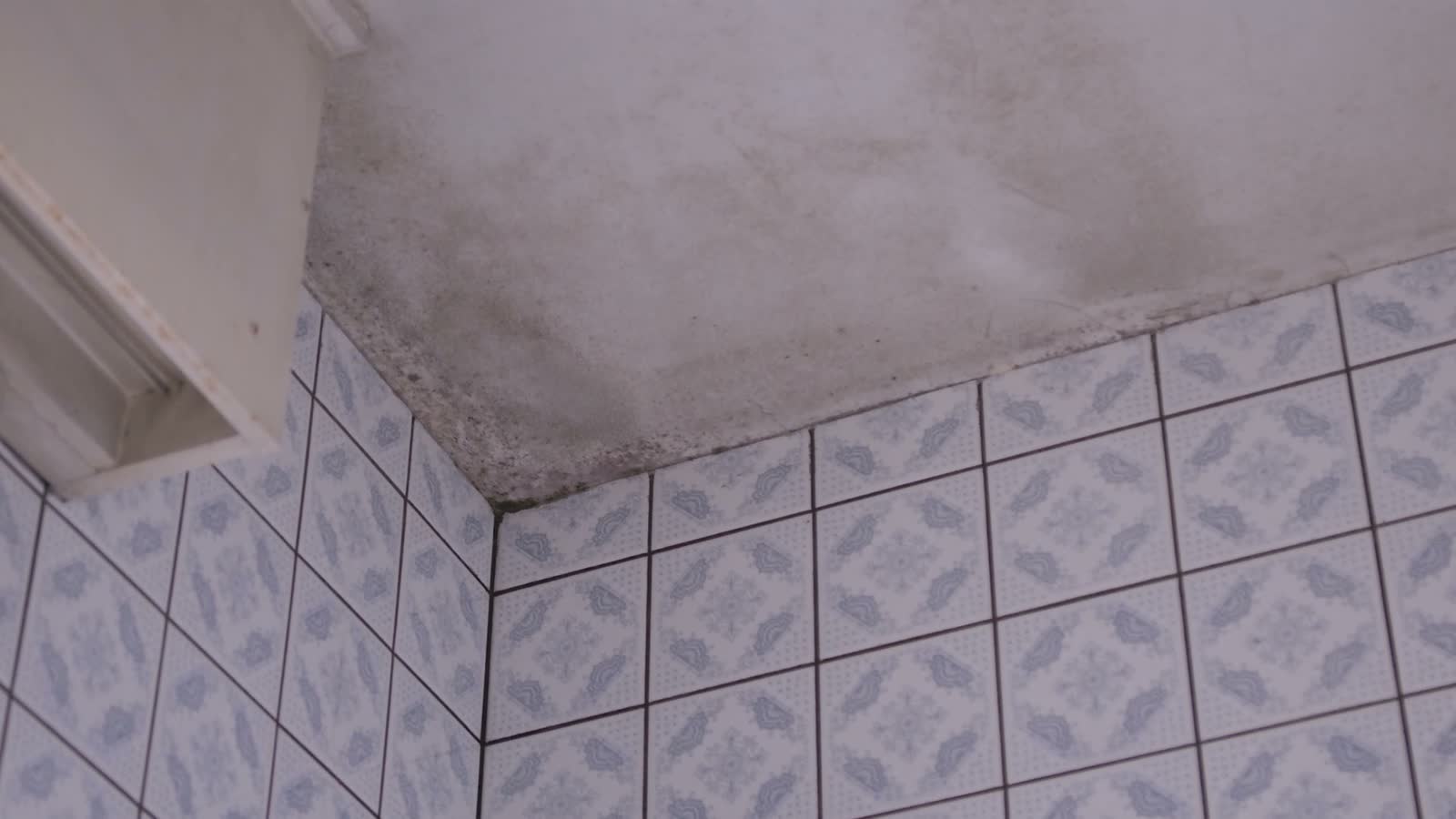mold-bathroom.mp4