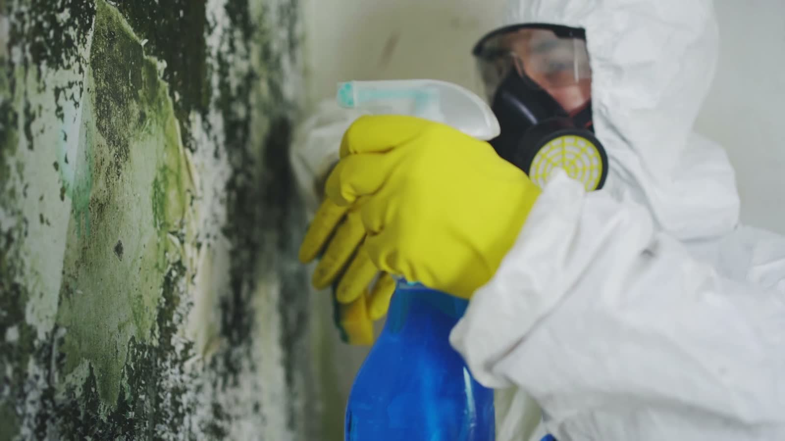 mold-clean.mp4