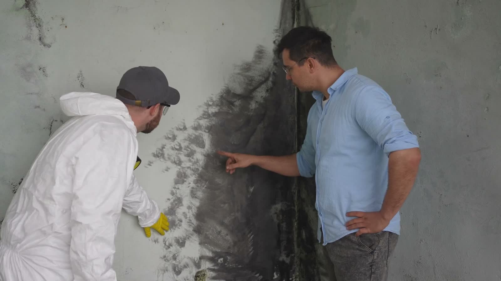 mold-inspect2.mp4