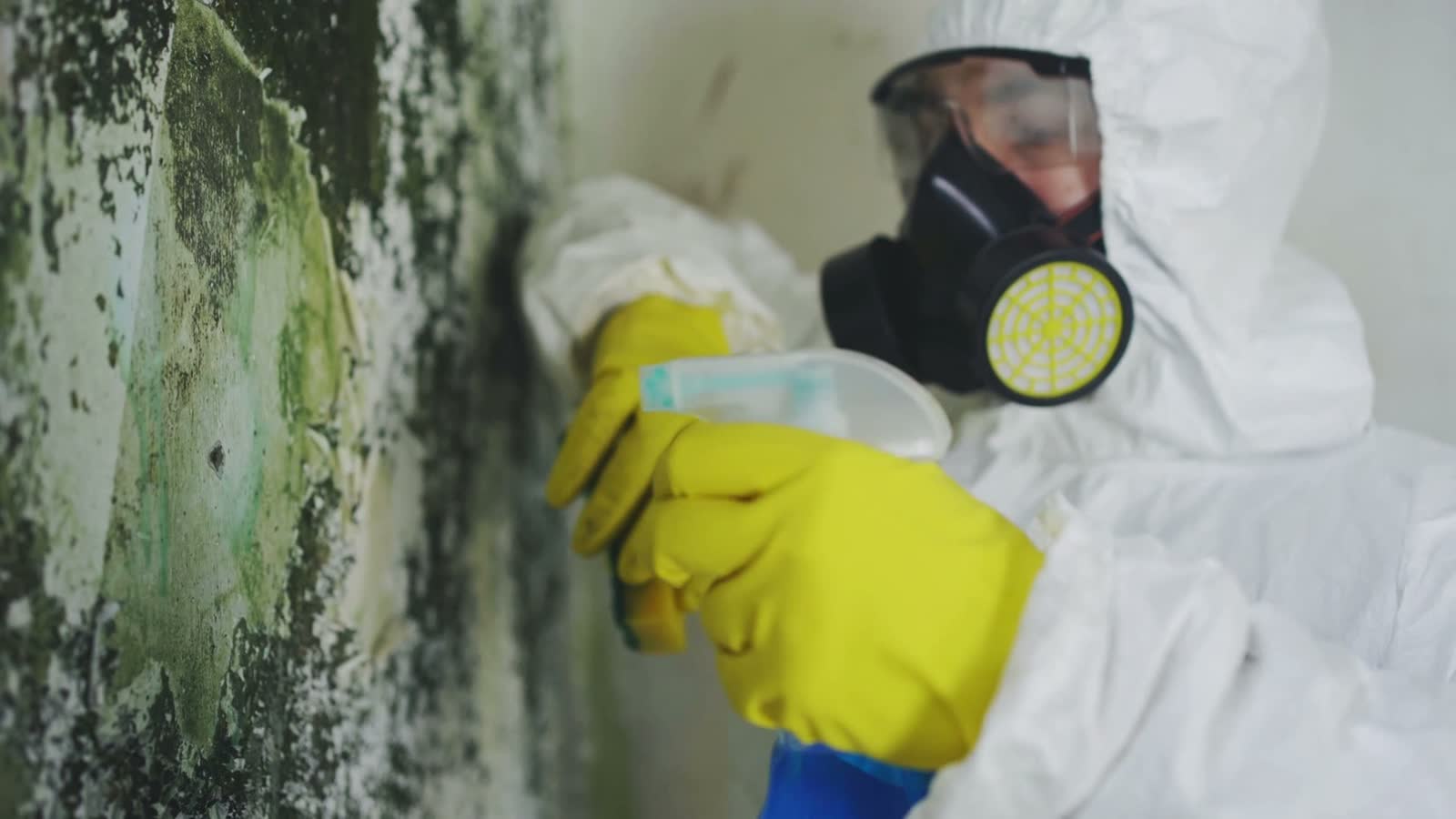 person-in-hazmat-suit-cleaning-moldy-wall.mp4