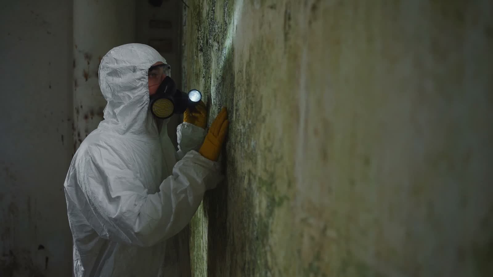 person-in-protective-suit-inspects-moldy-wall.mp4