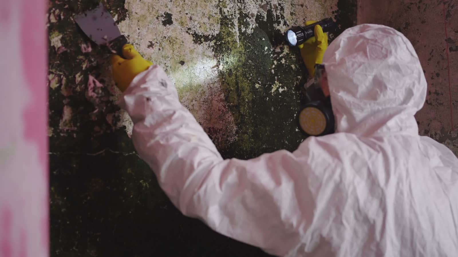 removing-mold-and-mildew-with-protective-gear.mp4