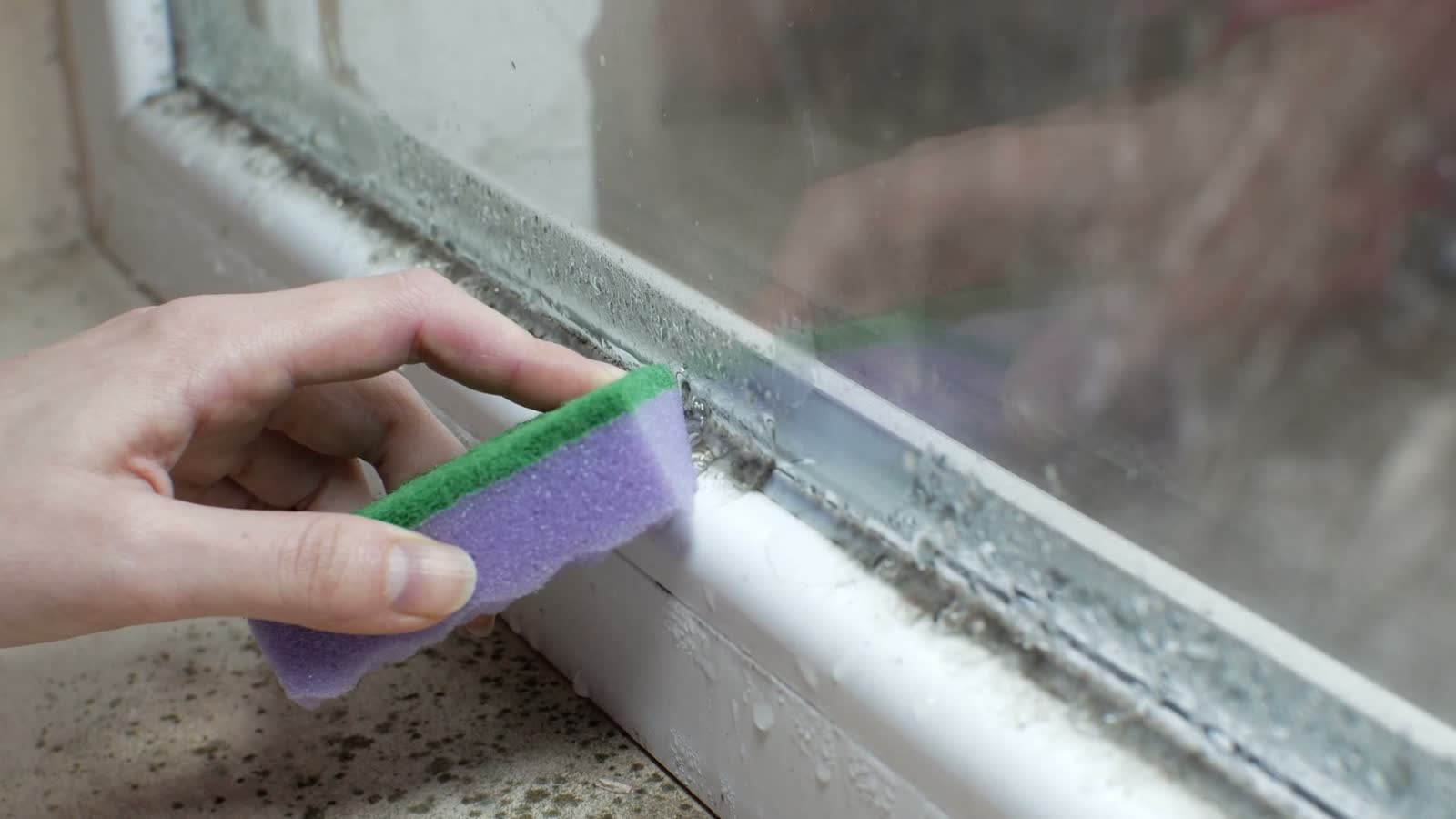 sponge-cleans-mold-on-window-sill.mp4