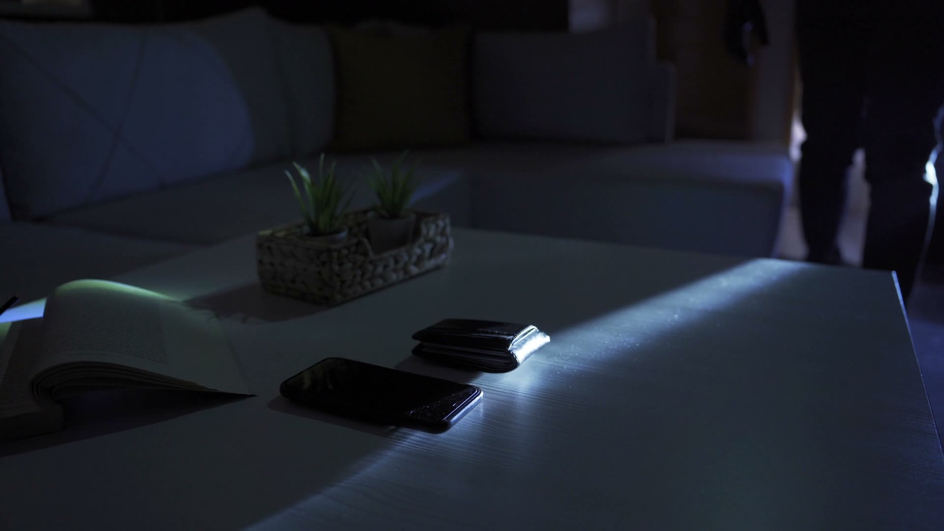 theft-flashlight.mp4