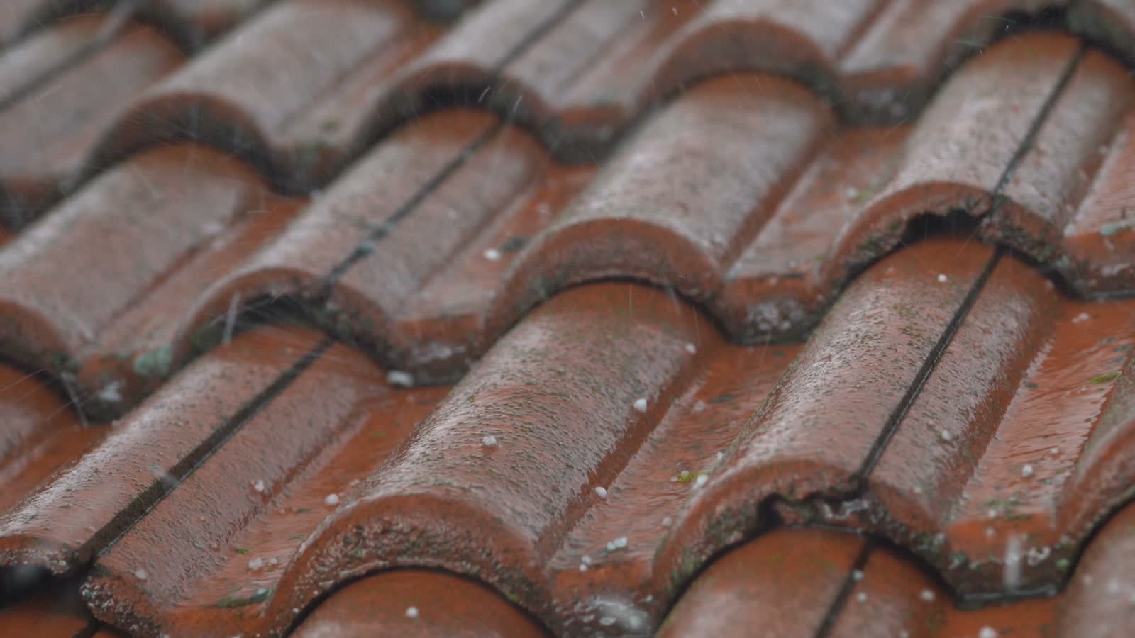 rain-falling-on-terracotta-roof-tiles.mp4