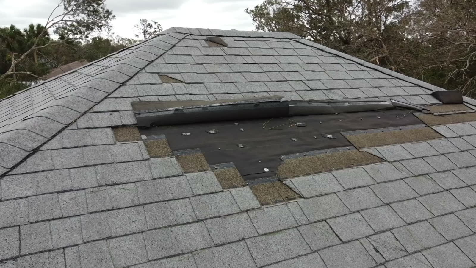 WIND DAMAGE