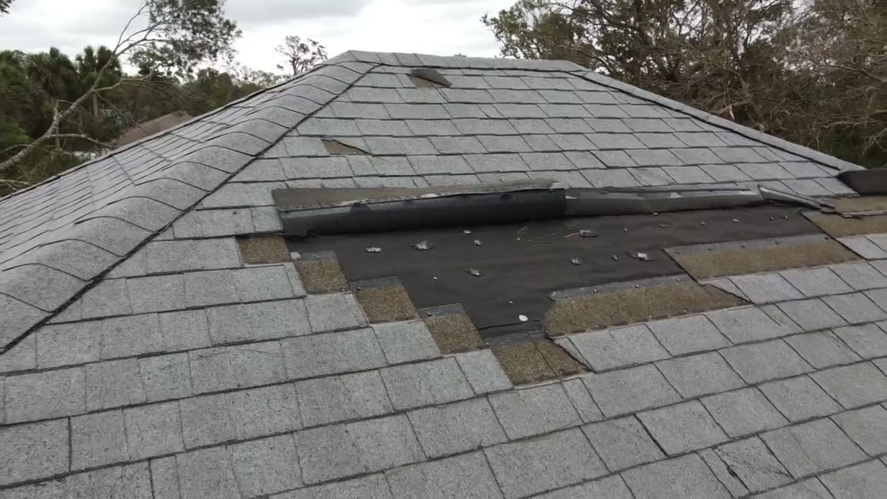 SHINGLE roof