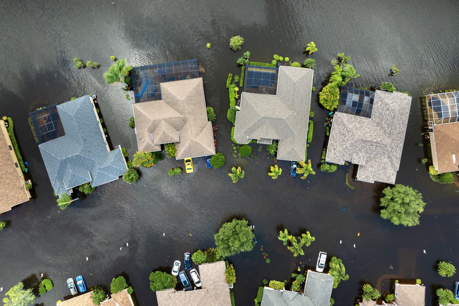 Flood or water damage?