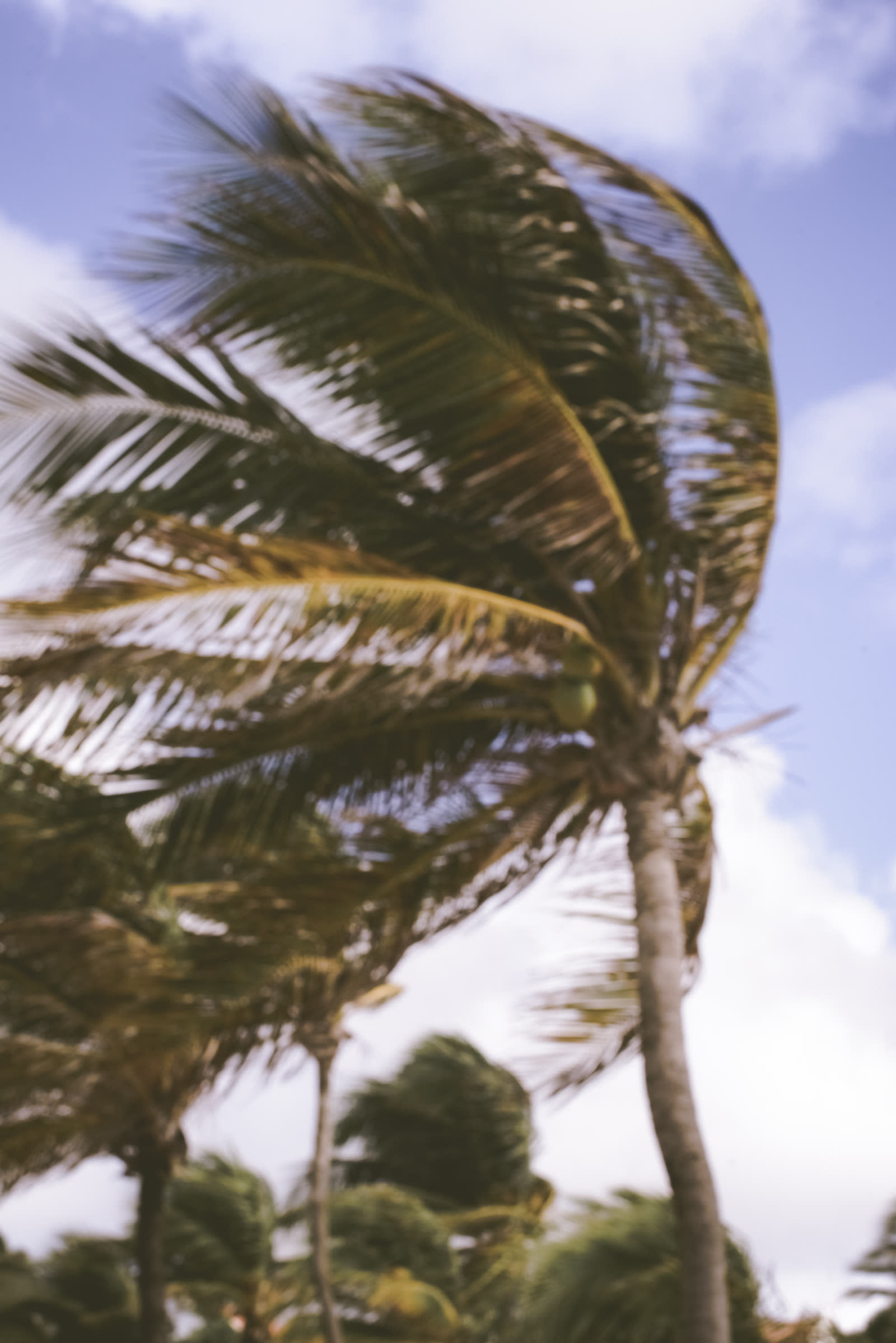 Are reciprocal exchanges safe to insure with?