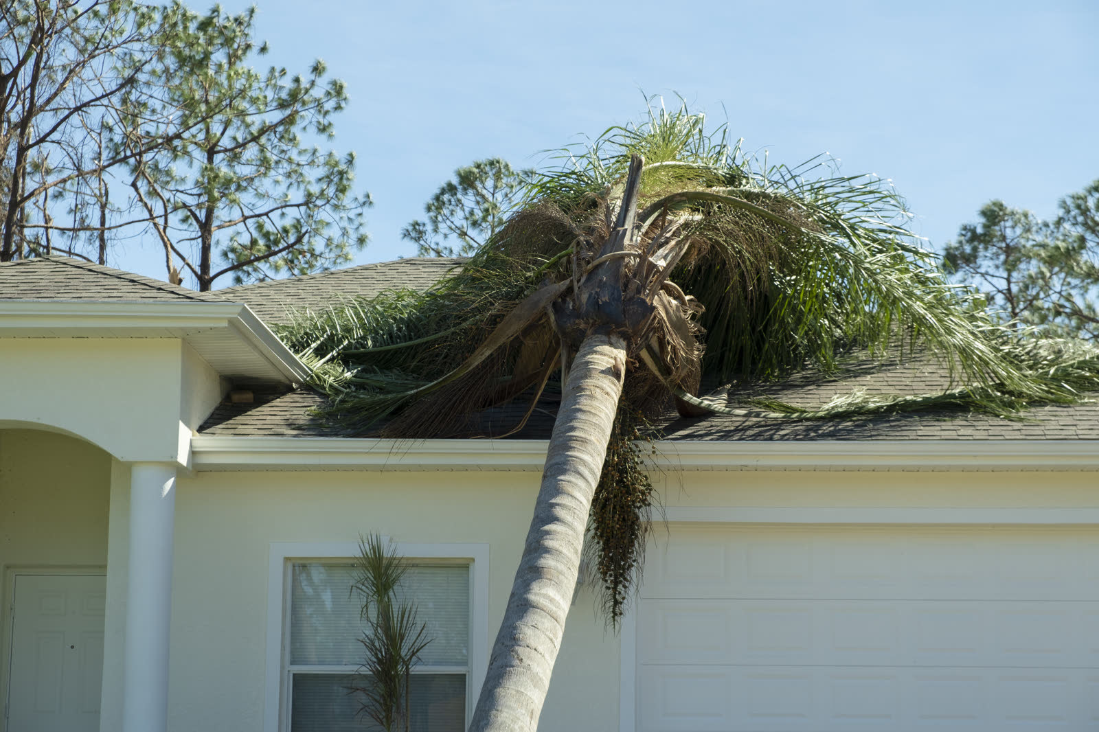 Tree through your Destin roof?