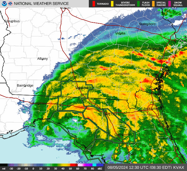 Radar loop of Debby's Big Bend landfall, August 5, 2024