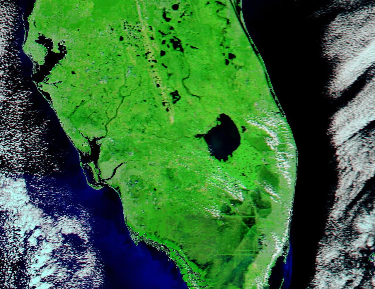 Satellite view of Florida's swollen rivers — including the Peace River basin — five days after landfall