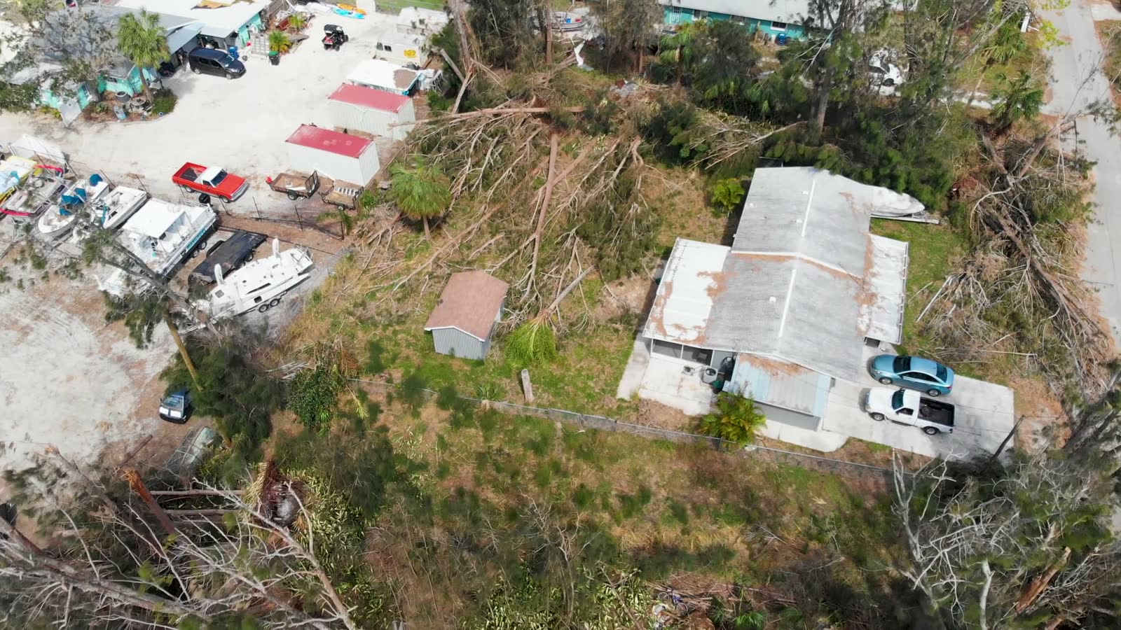 4k-drone-video-of-trees-damaged-by-hurricane-in-en.mp4