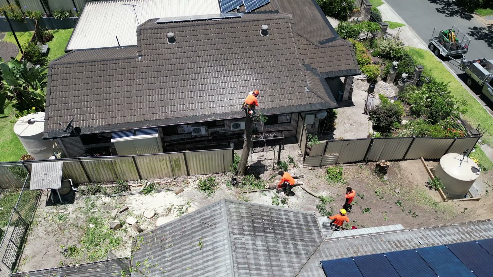arborist-team-cutting-down-tall-tree-from-above.mp4