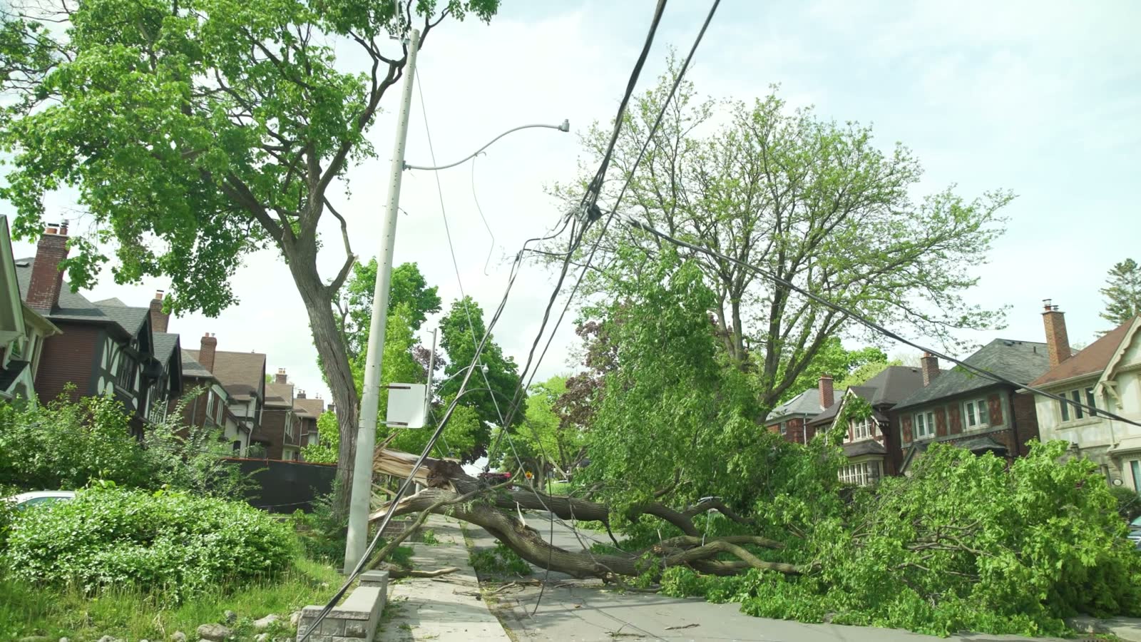 fallen-tree-blocking-suburban-street-after-storm.mp4