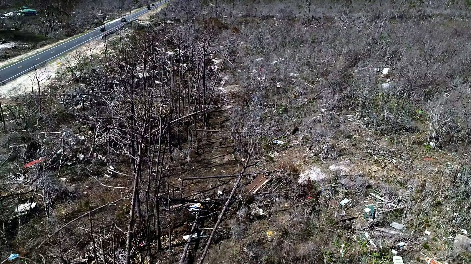 mexico-beach-florida-aerial-views-of-the-forest.mp4