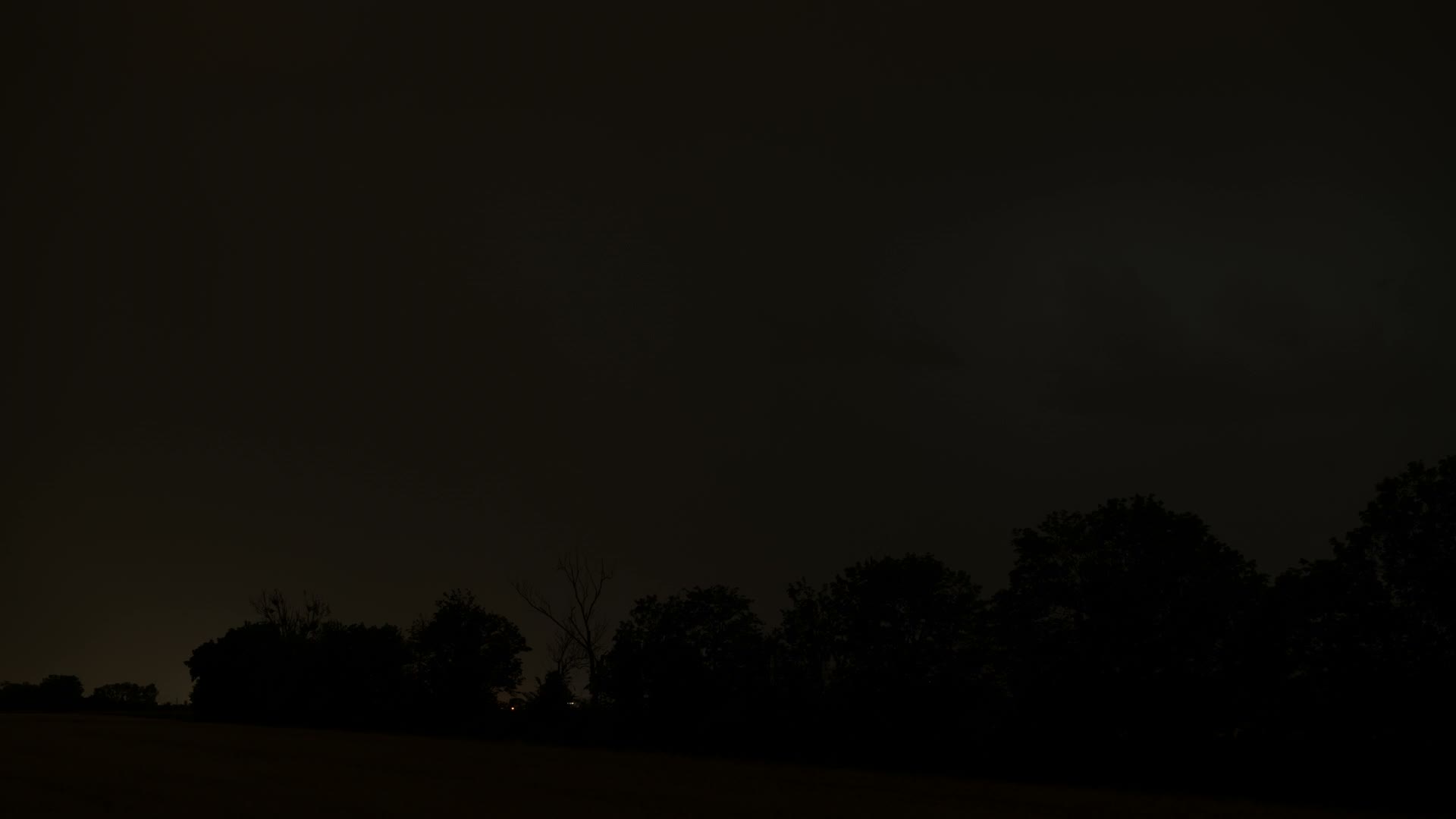 night-time-lightning-storm-with-tree-silhouettes.mp4