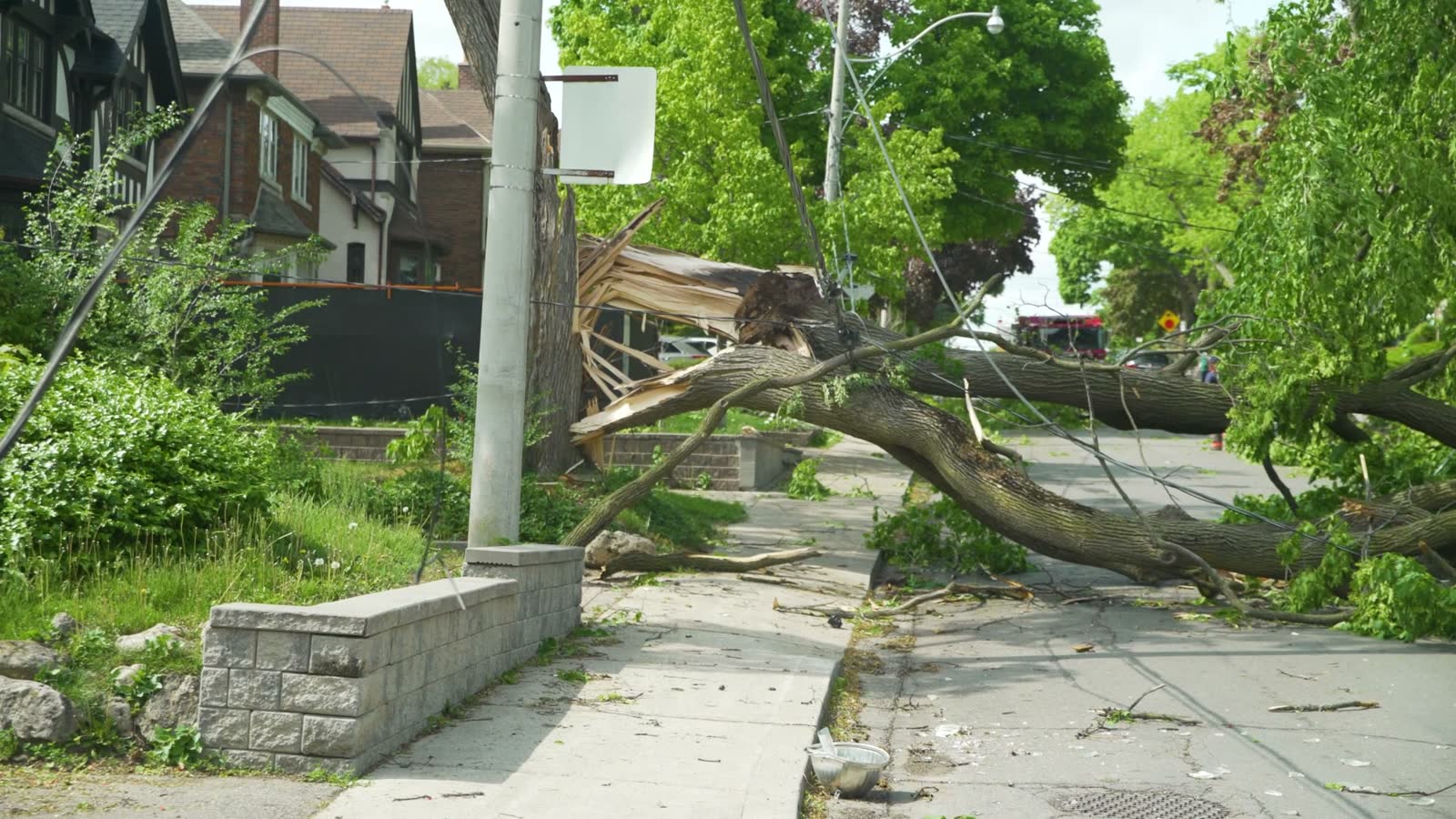 tight-shot-of-a-tree-that-fell-onto-the-road-durin.mp4